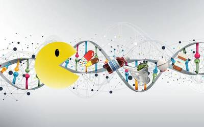 基因檢測在體檢中的應(yīng)用 能否測智力和特長，以及哪些人群需要