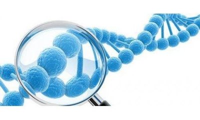 雙十一消費(fèi)級基因檢測銷量創(chuàng)新高，基因檢測正走入尋常百姓家