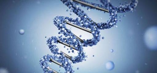 天才能測出來？！幾千元一次的天賦基因檢測，到底有多靠譜？