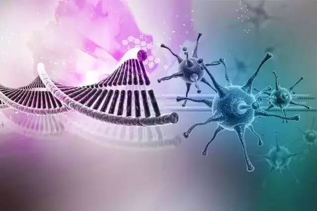 基因檢測 定義、意義與適用人群