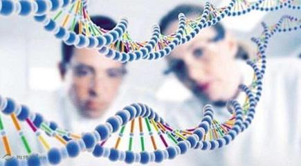 癌癥基因檢測 為何成為健康領域的焦點？